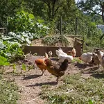 D'hotes Domaine Des Iris 3* Anould