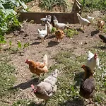 D'hotes Domaine Des Iris Penzion Anould