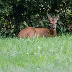 D'hotes Domaine Des Iris