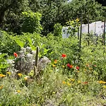 D'hotes Domaine Des Iris בית הארחה Anould