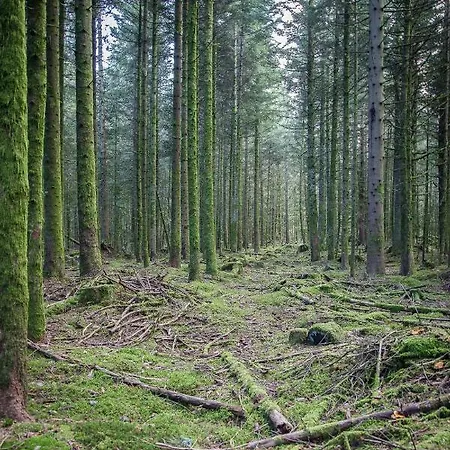 D'hotes Domaine Des Iris 3*