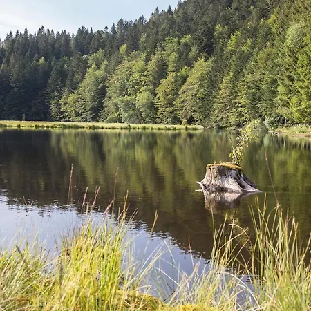 D'hotes Domaine Des Iris Gæstehus