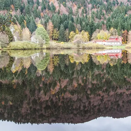 Domaine Des Iris Maison d'hôtes Anould