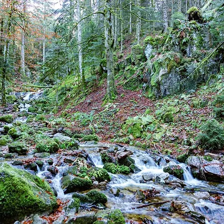 Domaine Des Iris Maison d'hôtes Anould