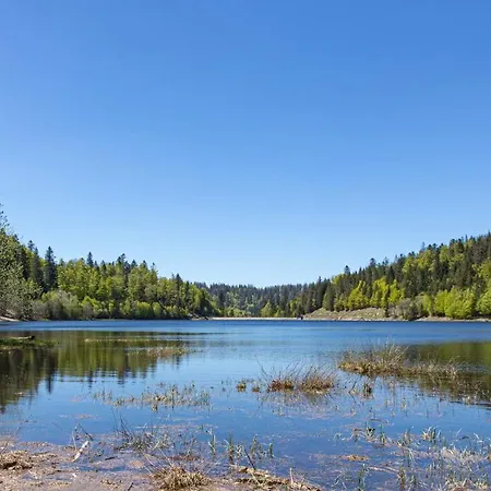 D'hotes Domaine Des Iris 3* Anould