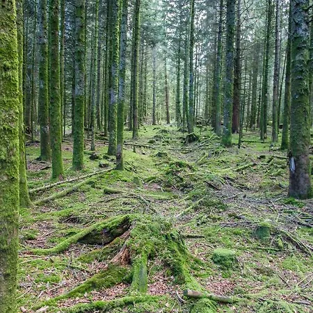 Gæstehus D'hotes Domaine Des Iris Anould
