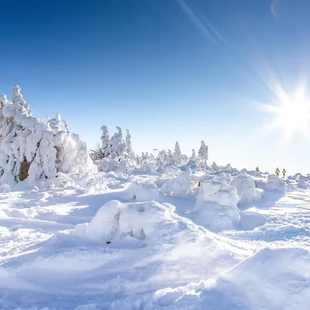 D'hotes Domaine Des Iris Gæstehus Anould