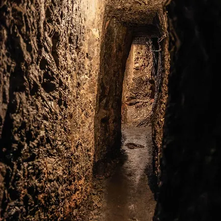 D'hotes Domaine Des Iris Anould