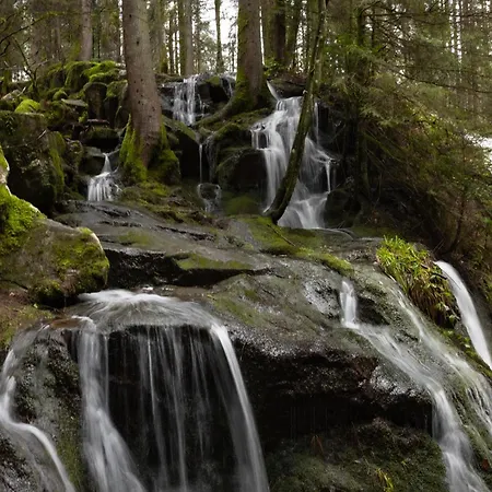 D'hotes Domaine Des Iris Gæstehus 3*