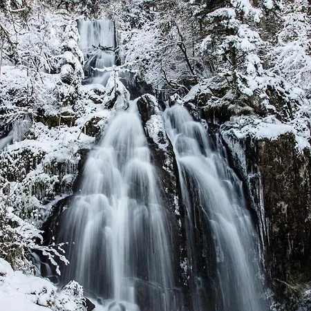 D'hotes Domaine Des Iris Gæstehus