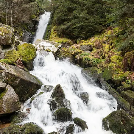 Gæstehus D'hotes Domaine Des Iris