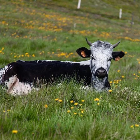 D'hotes Domaine Des Iris 3*