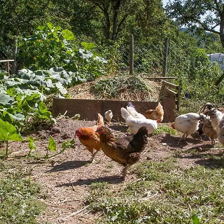 Domaine Des Iris 3* Anould