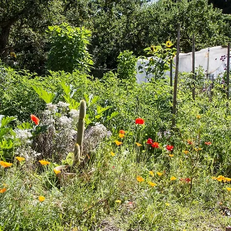 Domaine Des Iris Maison d'hôtes Anould