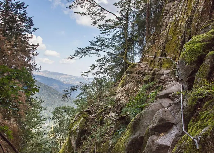 D'hotes Domaine Des Iris Gasthof Anould