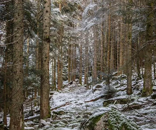 Gasthof D'hotes Domaine Des Iris Anould