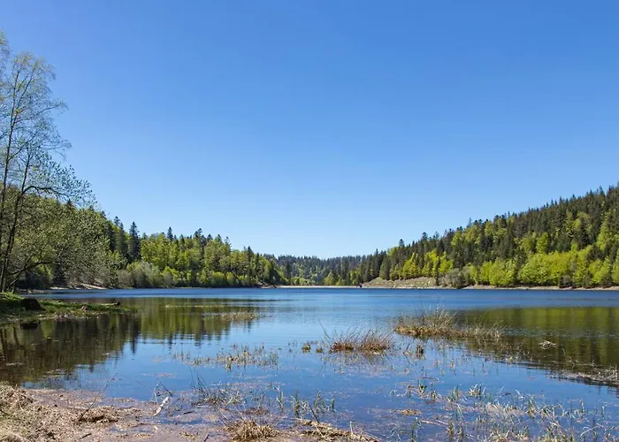 D'hotes Domaine Des Iris 3* Anould