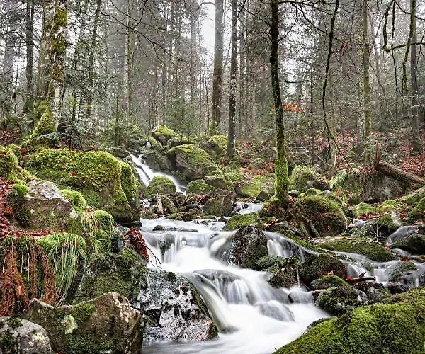 Gasthof D'hotes Domaine Des Iris 3*