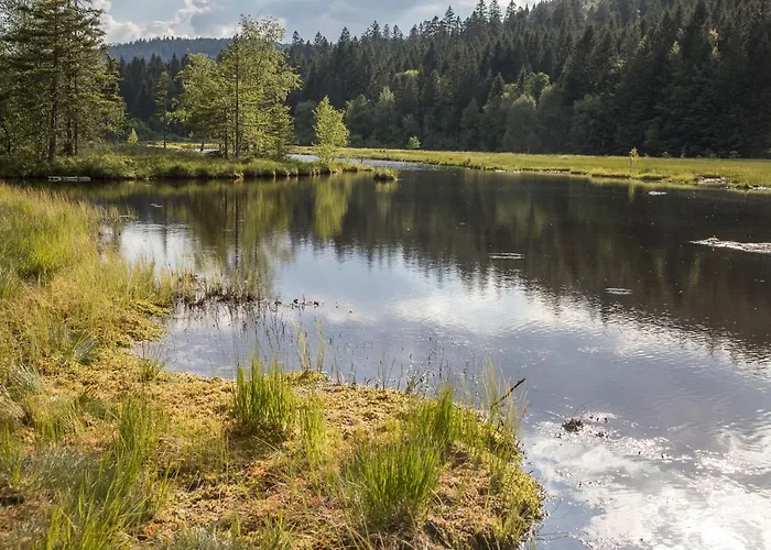 D'hotes Domaine Des Iris 3* Anould