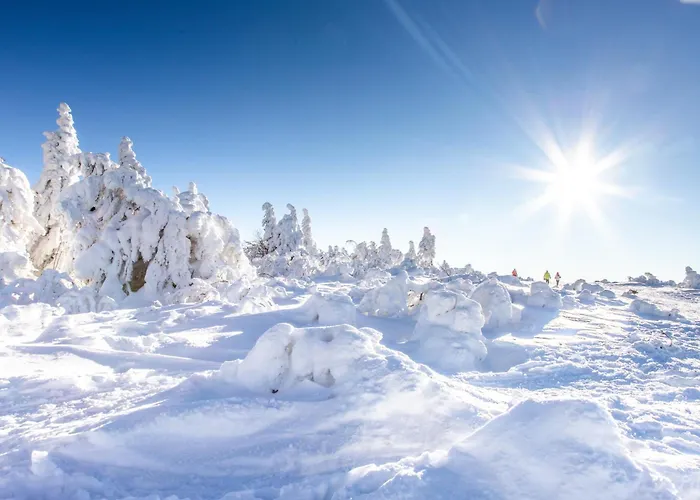 D'hotes Domaine Des Iris Gasthof Anould