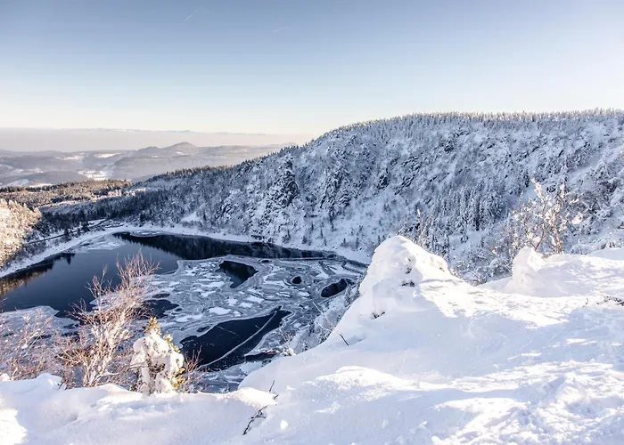 D'hotes Domaine Des Iris