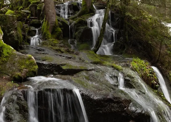 D'hotes Domaine Des Iris Gasthof 3*