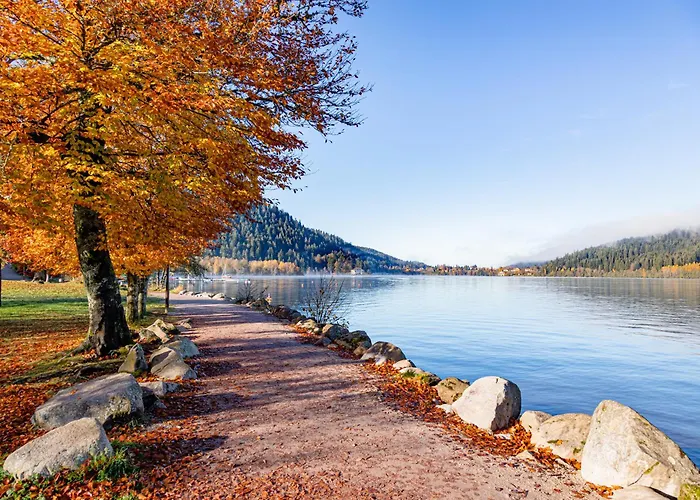 D'hotes Domaine Des Iris Anould