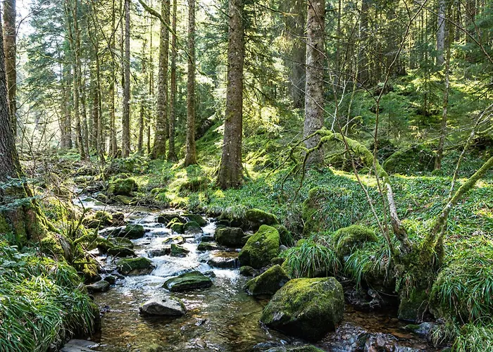 D'hotes Domaine Des Iris