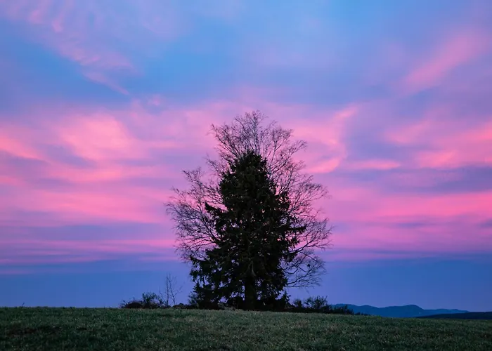 Gasthof D'hotes Domaine Des Iris 3*