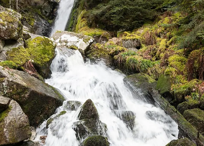 Gasthof D'hotes Domaine Des Iris