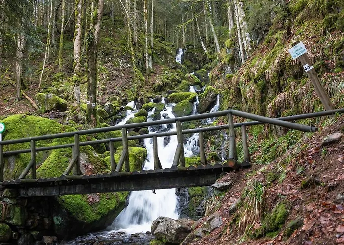 Gasthof D'hotes Domaine Des Iris