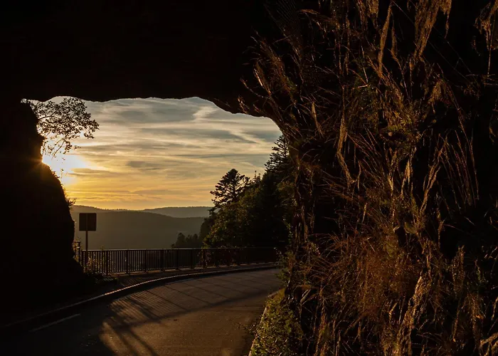 D'hotes Domaine Des Iris 3* Anould