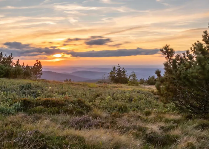 Gasthof D'hotes Domaine Des Iris 3*