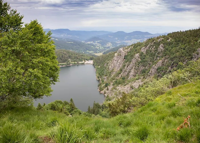 Gasthof D'hotes Domaine Des Iris 3*