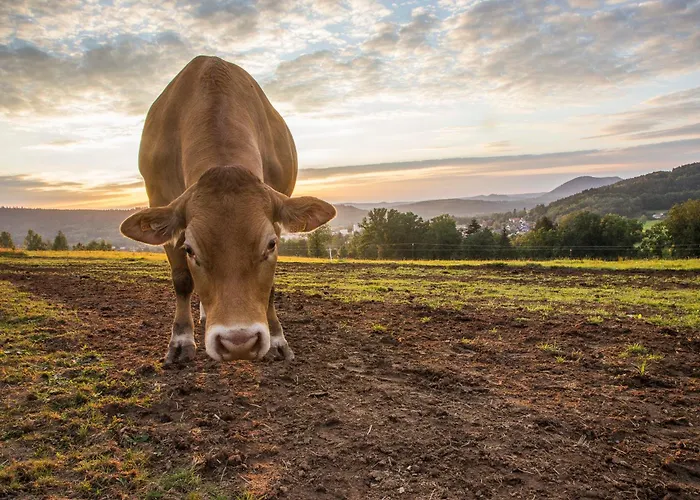 D'hotes Domaine Des Iris Gasthof