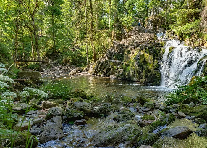 D'hotes Domaine Des Iris Gasthof