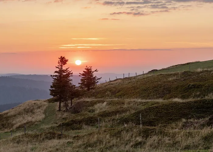 D'hotes Domaine Des Iris