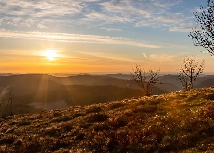 D'hotes Domaine Des Iris 3*