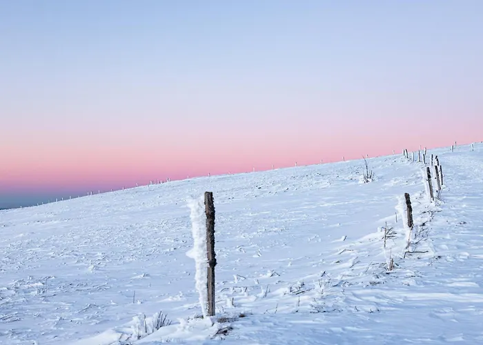Gasthof D'hotes Domaine Des Iris Anould