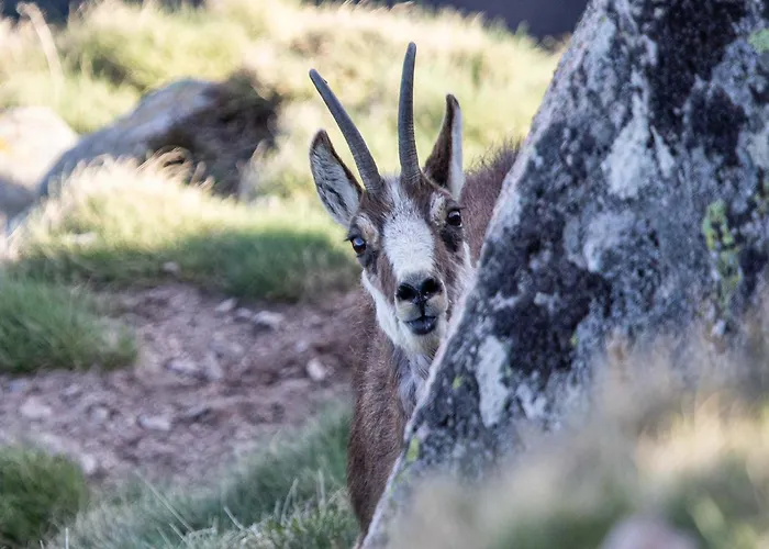 D'hotes Domaine Des Iris 3* Anould