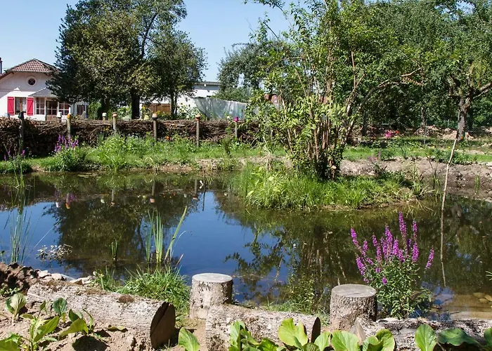 Gasthof D'hotes Domaine Des Iris Anould