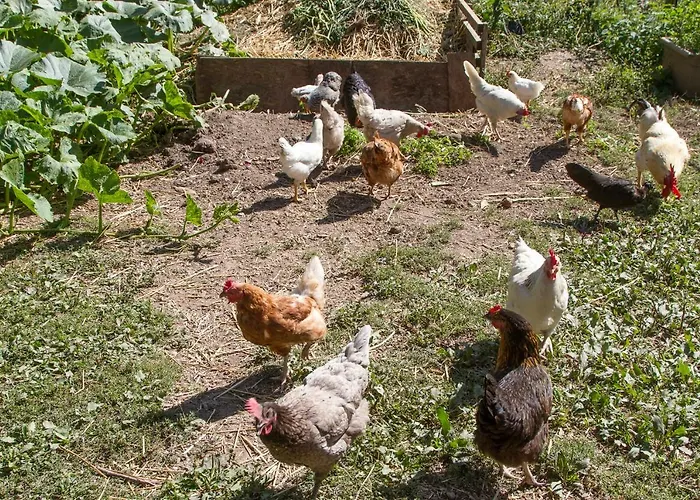 D'hotes Domaine Des Iris Gasthof Anould