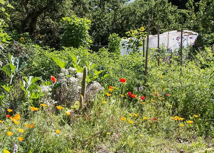 D'hotes Domaine Des Iris Gasthof Anould